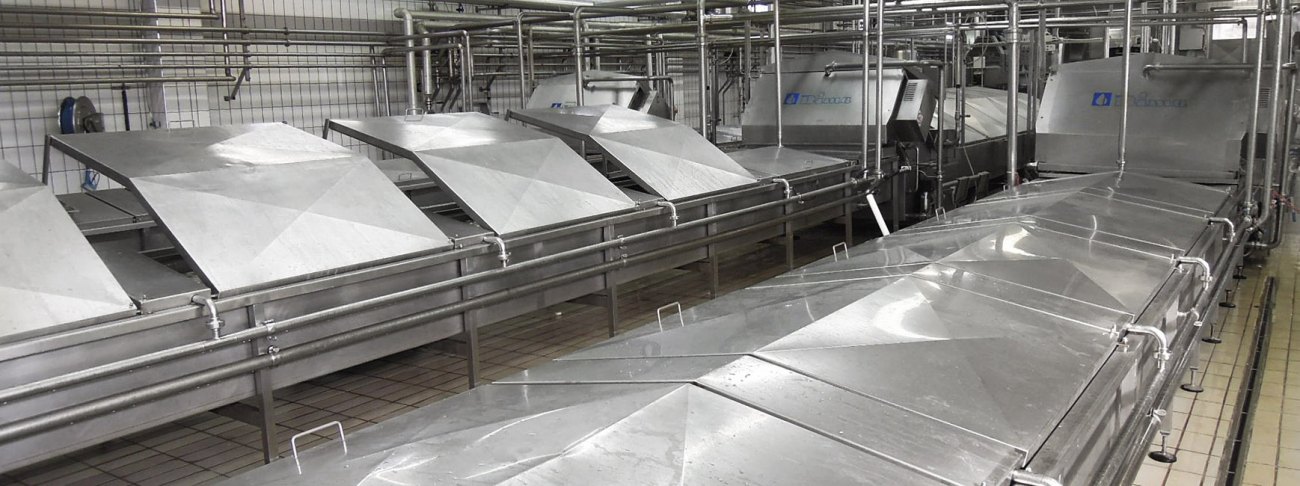 Linee automatica di salamoia e raffreddamento mozzarella, serie "BL"